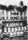 Le Palais de l'Algérie.- Cérérales en gerbes et en grains.(Province de Constantine.) 1900年博 アルジェリア館 － 穀物の穂と種（コンスタンティーヌ地方）