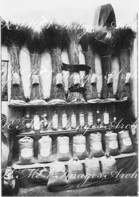 Le Palais de l'Algérie.- Cérérales en gerbes et en grains.(Province de Constantine.) 1900年博 アルジェリア館 － 穀物の穂と種（コンスタンティーヌ地方）