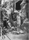 "Forêts, chasses, pêches et cueillettes.- La tanière de l'ours.(Sections étrangères.)" 1900年博 森林、狩猟、漁業と収穫館 － 熊の生息地（外国コーナー）