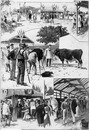 "Concours international d'animaux reproducteurs, à Vincennes.- L'entrée.- Le stand des taureaux et des vaches.- La photographie du lauréat.Les beliers.- Les porcs." 1900年博 ヴァンセンヌで行われた繁殖用動物の国際コンクール － 入口 － 雄牛と牝牛の展示コーナー － 受賞候補の写真撮影 － 牡羊 － 豚