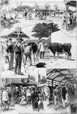 "Concours international d'animaux reproducteurs, à Vincennes.- L'entrée.- Le stand des taureaux et des vaches.- La photographie du lauréat.Les beliers.- Les porcs." 1900年博 ヴァンセンヌで行われた繁殖用動物の国際コンクール － 入口 － 雄牛と牝牛の展示コーナー － 受賞候補の写真撮影 － 牡羊 － 豚