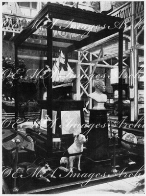 "Le Pavillon de la Norvège et son exposition.Buste de Nansen, modèle du <<Fram>> et objets divers utilisés par l'explorateur, pendant son expédition." 1900年博 ノルウェー館とその展示 － 「フラム」のモデルとなったナンセン氏の胸像と、彼が冒険の際使用した道具類など