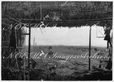 Les premiers travaux du chemin de fer de Djibouti au Harrar.1900年博 ジブチとハラール間を走る鉄道の初期工事