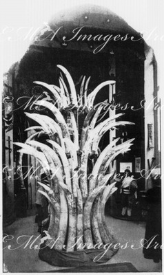La côté française des Somalis.- Trophée de dents d'éléphants dans le vestibule d'entrée.1900年博 フランス領ソマリア海岸館 － 玄関ホールに飾られた象牙製のトロフィー
