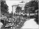 Les concours de plein air.- Plantes aquatiques et plantes alpines.1900年博 野外コンクール － 水生植物と、山岳植物