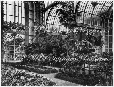Les coucours d'horticulture.- Collections de roses (sections françaises).1900年博 園芸コンクール － 薔薇のコレクション（フランスコーナー）