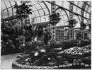 Les concours d'horticulture.- Corbeille d'azalées (sections françaises).1900年博 園芸コンクール － アザレアの寄せ植え（フランスコーナー）