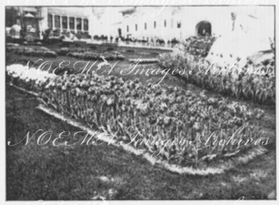 Au Trocadéro.- Les tulipes des horticulteurs hollandais.1900年博 トロカデロ会場 － オランダ人園芸家たちのチューリップ