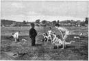 "Beaux-Arts (section belge). - Un intrus, tableau de M. Anthonissen." 芸術部門ベルギー・コーナー 「闖入者」 アントニセン画