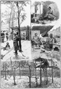 Exposition Universelle. - Le Village sénégalais. セネガル村