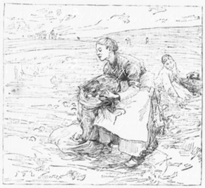 La récolte des pommes de terre. Fac-simile d'un dessin de Bastien Lepage. 「じゃがいもの収穫」 バスティアン・ルパージュの素描の複製