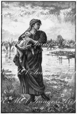 "Beaux-Arts (section anglaise). - L'agneau, par Miss Havers." 芸術部門英国コーナー 「子羊」 ヘイヴァーズ画