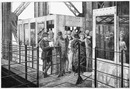 Au premier étage de la Tour Eiffel : La queue à l'entrée de l'Ascenseur pour la seconde Plate-forme. エッフェル塔の2階で 第2プラットフォームへのエレベータ搭乗口前の行列