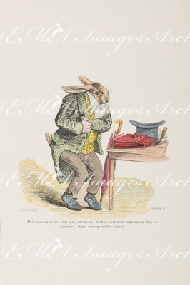 グランヴィル Grandville - 《新しい御主人様は、善良で、物静かで、謙虚で、省内の「下っ端役人」。従って、とても貧しい。》 Mon nouveau maître était bon, silencieux, modeste, employé subalterne dans un ministére, et par conséquent fort pauvre.
