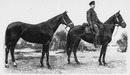 "M. Michel Assééff, lieutenant au 26e dragons russes, avec Diana et Vlaga, chevaux d'officier et de troupe. Venu de Lubeny (Poltava), à Paris, en 30 jours." ミシェル・アセエエフ氏、ロシア第26機甲部隊中尉、愛馬ダイアナとVlagaと共に Lubeny (ポルタバ)から30日間かけてパリへ到着