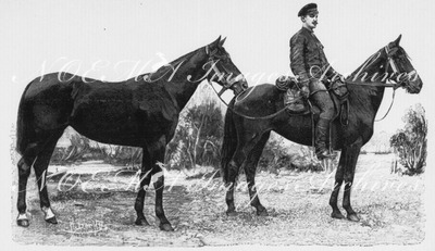 "M. Michel Assééff, lieutenant au 26e dragons russes, avec Diana et Vlaga, chevaux d'officier et de troupe. Venu de Lubeny (Poltava), à Paris, en 30 jours." ミシェル・アセエエフ氏、ロシア第26機甲部隊中尉、愛馬ダイアナとVlagaと共に Lubeny (ポルタバ)から30日間かけてパリへ到着
