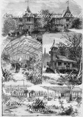 L'Exposition forestière et horticole au Trocadéro. トロカデロ会場、森林と園芸の展示