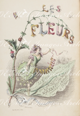 グランヴィル Grandville - 扉《フルール・アニメ》 Frontispice: Les Fleurs Animées