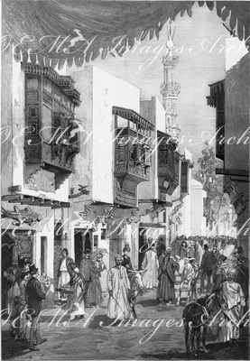 Les ânes égyptiens dans la rue du Caire. カイロ通りを歩くエジプトのロバ