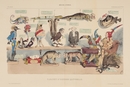 グランヴィル Grandville - 《博物学の部屋―動物学》 Règne animal. Cabinet d’histoire naturelle.