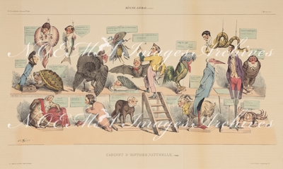 グランヴィル Grandville - 《博物学の部屋―動物学》 Règne animal. Cabinet d’histoire naturelle.