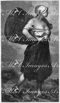 L'Exposition de Paris. - Supplément au N°36. : Beaux-Arts. - Section française. Femme du pollet. Tableau de Vollon. パリ万博 付録 36  芸術部門フランス・コーナー 「ポレの女」、ヴォロン画