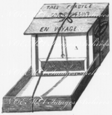 Incubation et élevage artificiels des oiseaux de basse-cour, système Roullier-Arnoult, ou couvoir de Gambais-les-Houdan. : Boite d'expedition. ルイエ=アルヌル式またはガンべ=レ=ウーダン孵化場式、家禽の人工孵化および人工飼育  出荷箱