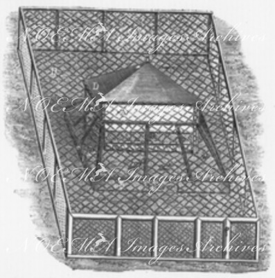 Incubation et élevage artificiels des oiseaux de basse-cour, système Roullier-Arnoult, ou couvoir de Gambais-les-Houdan. ルイエ=アルヌル式またはガンべ=レ=ウーダン孵化場式、家禽の人工孵化および人工飼育