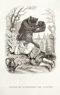 グランヴィル Grandville - 《熊と園芸家》 L’ours et l’amateur des jardins.