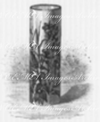 Vase peint. (Doulton et Cie.) 彩色壷 (ドルトン社)