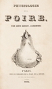グランヴィル Grandville - 扉《洋梨の生理学》Frontispice: Physiologie de la Poire