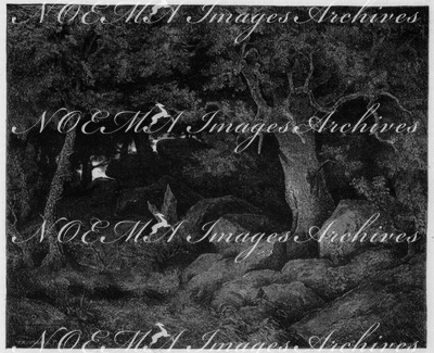 Le chêne de Roche. - Tableau de M. Théodore Rousseau. 「岩の上のコナラ」、テオドール・ルソー画