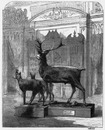 Galeries du Wurtemberg et de la Baviere. ビュルテンベルクとバイエルンの展示コーナー