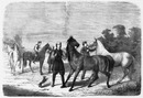Les chevaux russes. ロシア産の馬