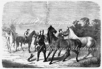 Les chevaux russes. ロシア産の馬