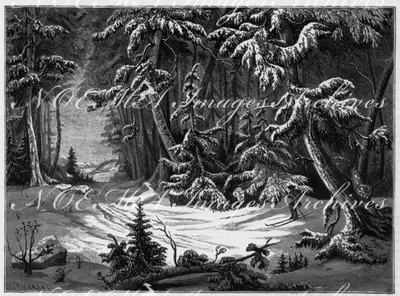 "Paysage d'hiver, tableau de S. M. Charles XV, roi de Suède et de Norvege, appartenant a S. M. l'Empereur des Français." 「冬景色」、スウェーデンおよびノルウェー国王、カール15世画、フランス皇帝所蔵