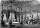 Vestibule de la grande serre dans le jardin réservé. 自然庭園の大温室のエントランス