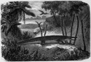Le monde antédiluvien. 大洪水以前の世界