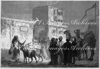 Ecuries des chameaux et des ânes. ラクダとロバの厩舎