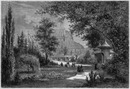 Une allée du jardin réserve. 自然庭園の散歩道