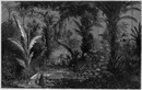 Intérieur de la grande serre. 大温室の内部